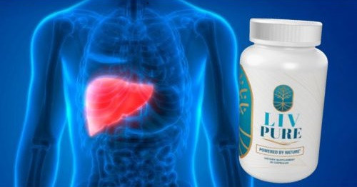 How Liv Pure Support Healthy Liver As well As Healthy Weight Loss? Livpure Supplement Review
